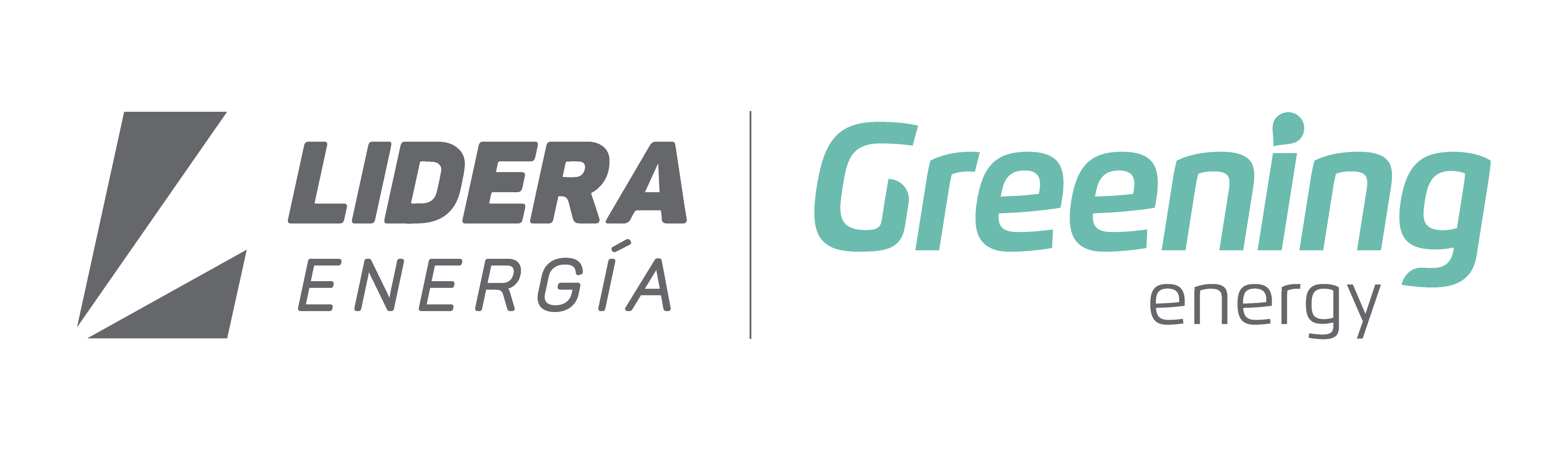 Lidera Energia Logo