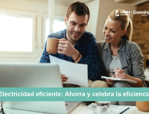 Electricidad eficiente: Ahorra y celebra la eficiencia